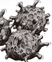 Monsterification Cells